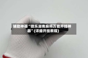 辅助神器“微乐湖南麻将万能开挂神器”(详细开挂教程)