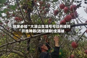 玩家必知“大凉山生活号可以开挂吗”开挂神器{透视辅助}全揭秘