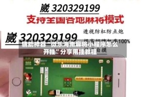 辅助神器“微乐海南麻将小程序怎么开挂”分享用挂教程