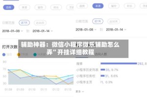 辅助神器：微信小程序微乐辅助怎么弄”开挂详细教程