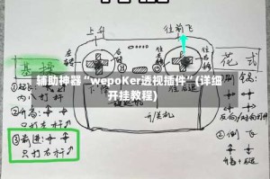 辅助神器“wepoKer透视插件”(详细开挂教程)