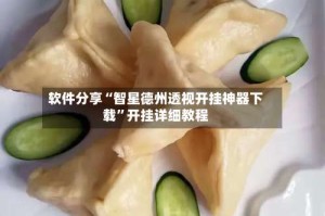 软件分享“智星德州透视开挂神器下载”开挂详细教程