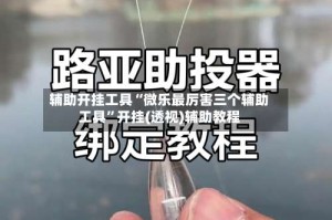 辅助开挂工具“微乐最厉害三个辅助工具”开挂(透视)辅助教程