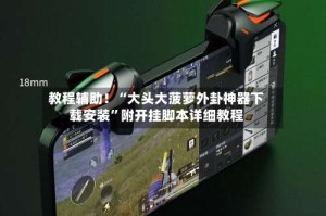 教程辅助！“大头大菠萝外卦神器下载安装”附开挂脚本详细教程