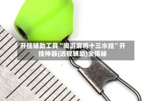 开挂辅助工具“闽游麻将十三水挂”开挂神器{透视辅助}全揭秘