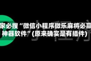 玩家必搜“微信小程序微乐麻将必赢神器软件”(原来确实是有插件)
