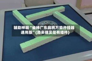 辅助神器“雀神广东麻将万能开挂器通用版”(原来确实是有插件)