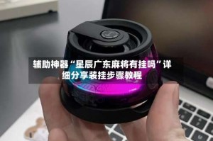 辅助神器“星辰广东麻将有挂吗”详细分享装挂步骤教程