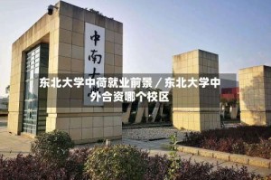 东北大学中荷就业前景／东北大学中外合资哪个校区