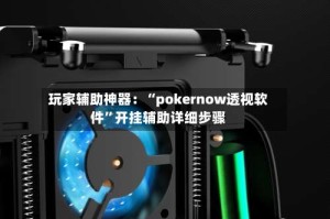 玩家辅助神器：“pokernow透视软件”开挂辅助详细步骤