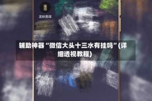 辅助神器“微信大头十三水有挂吗”(详细透视教程)