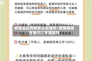 疫情地区狗狗怎么处理好/疫情期间狗狗可以带回家吗