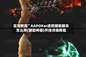 实测教程”AAPOKer透视辅助脚本怎么用(辅助神器)开挂详细教程