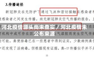 河北疫情源头尚未查实／河北疫情未公布来源