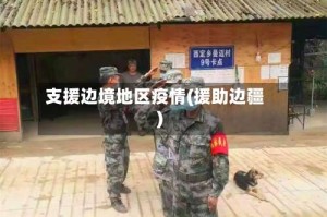 支援边境地区疫情(援助边疆)