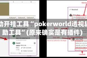 辅助开挂工具“pokerworld透视辅助工具”(原来确实是有插件)