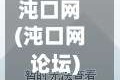 沌口网(沌口网论坛)