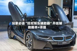 玩家必读“旺旺娱乐辅助器”开挂辅助脚本+详细