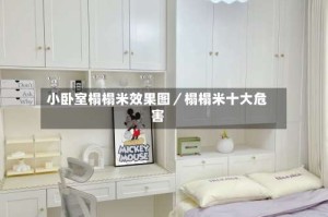 小卧室榻榻米效果图／榻榻米十大危害