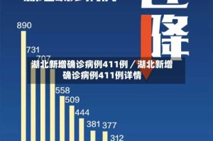湖北新增确诊病例411例／湖北新增确诊病例411例详情