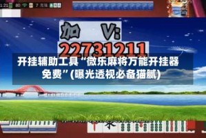 开挂辅助工具“微乐麻将万能开挂器免费”(曝光透视必备猫腻)