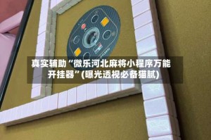 真实辅助“微乐河北麻将小程序万能开挂器”(曝光透视必备猫腻)