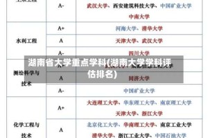 湖南省大学重点学科(湖南大学学科评估排名)