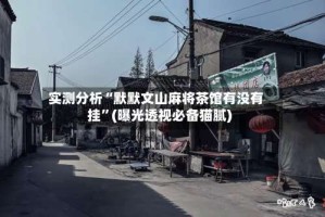 实测分析“默默文山麻将茶馆有没有挂”(曝光透视必备猫腻)