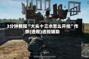3分钟教程“大头十三水怎么开挂”作弊(透视)透视辅助