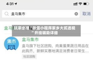玩家必搜“微信小程序家乡大贰透视”开挂辅助详细