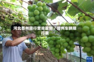 河北晋州限行查询最新／晋州车辆限行表