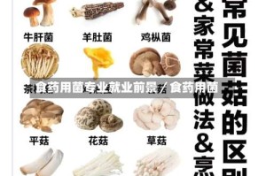食药用菌专业就业前景／食药用菌