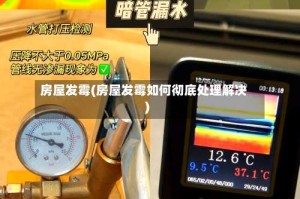 房屋发霉(房屋发霉如何彻底处理解决)