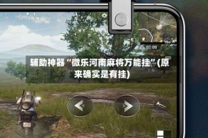 辅助神器“微乐河南麻将万能挂”(原来确实是有挂)