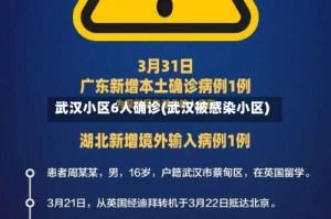 武汉小区6人确诊(武汉被感染小区)