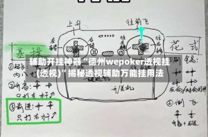 辅助开挂神器“德州wepoker透视挂(透视)”揭秘透视辅助万能挂用法