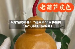 玩家辅助神器：“葫芦岛58麻将免费下挂”(详细开挂教程)