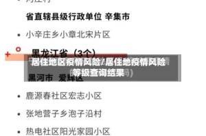 居住地区疫情风险/居住地疫情风险等级查询结果