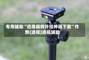 专用辅助“迅奇麻将开挂神器下载”作弊(透视)透视辅助