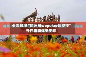 必看教程“德州局wepoker透视挂”开挂辅助详细步骤