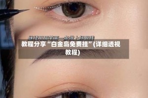 教程分享“白金岛免费挂”(详细透视教程)