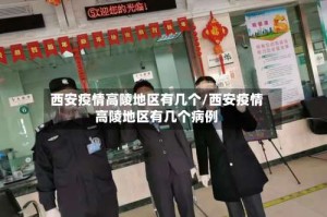 西安疫情高陵地区有几个/西安疫情高陵地区有几个病例