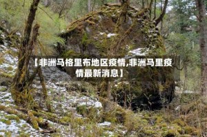 【非洲马格里布地区疫情,非洲马里疫情最新消息】