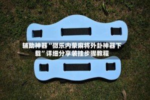 辅助神器“微乐内蒙麻将外卦神器下载”详细分享装挂步骤教程