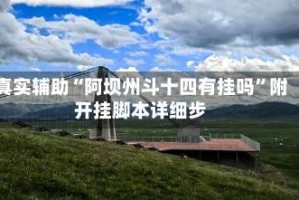 真实辅助“阿坝州斗十四有挂吗”附开挂脚本详细步