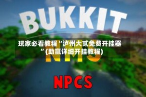 玩家必看教程“泸州大贰免费开挂器”(助赢详细开挂教程)