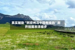 真实辅助“阿坝州斗十四有挂吗”附开挂脚本详细步