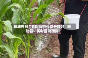 辅助神器“老胡麻将可以开挂吗”辅助器 - 实时智能回复