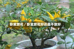 卧室放花／卧室放花好还是不放好