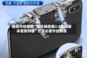 辅助开挂神器“胡乐辅助器2.0最新版本更新内容”分享必要外挂教程